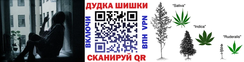 Галлюциногенные грибы Вытегра