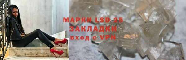 дживик Бородино