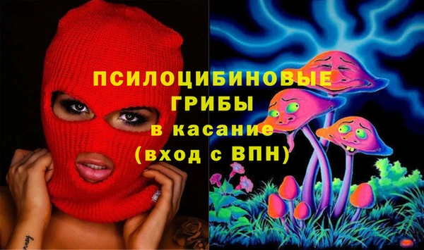 молекула духа Кострома