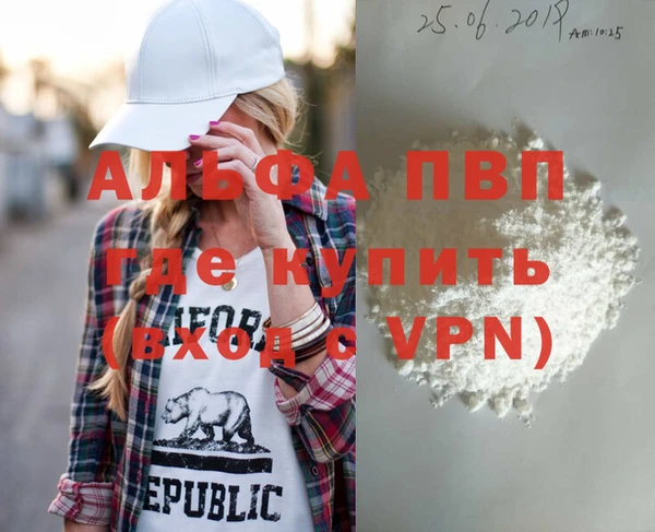 дживик Бородино