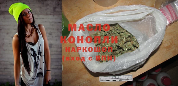 дживик Бородино